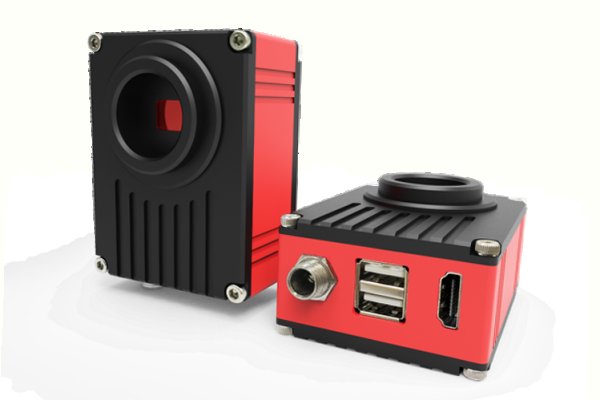 Kraken 5 at