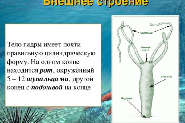 Актуальное зеркало на кракен